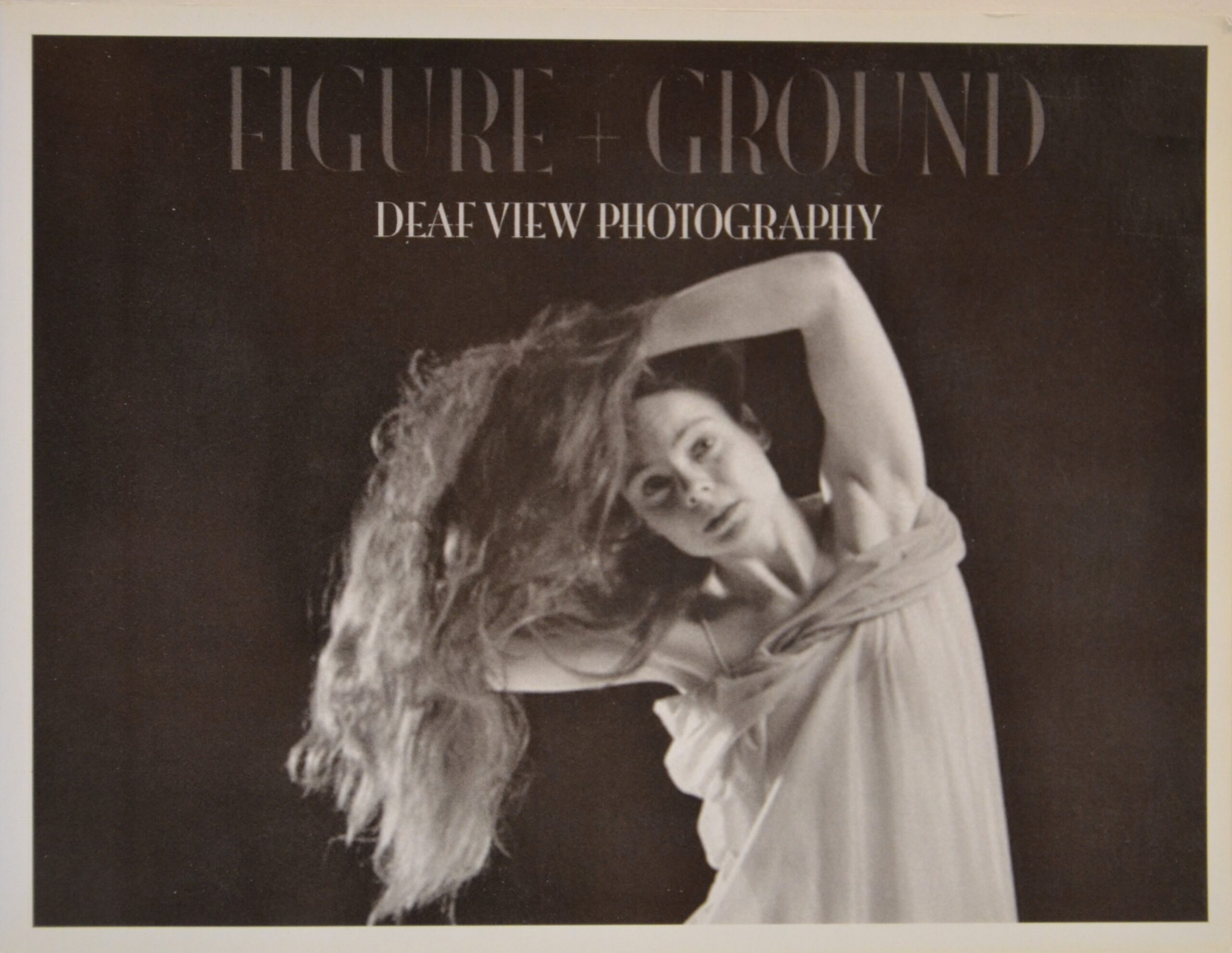 Figure and Ground:  Deaf View Photography
