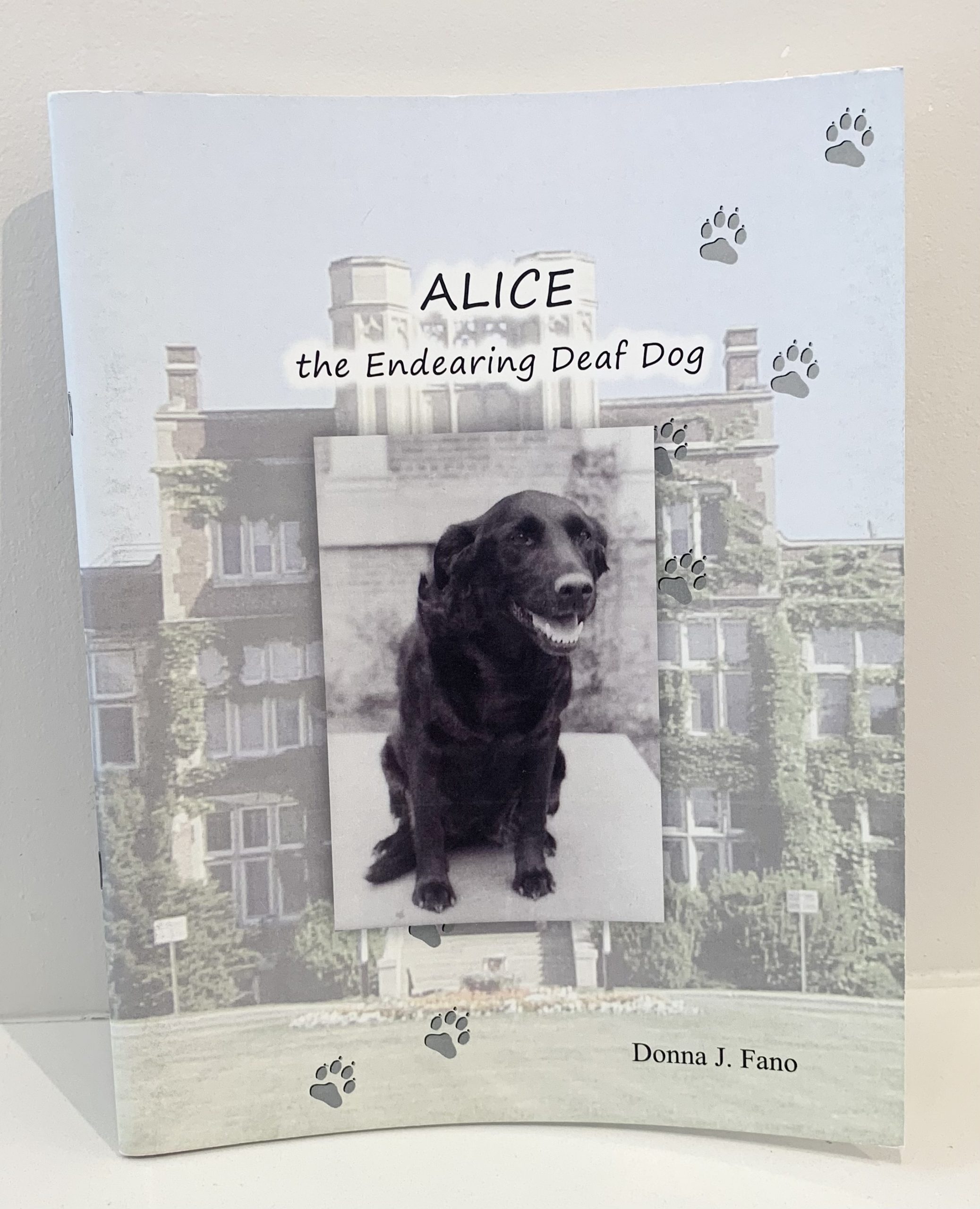 ALICE (The Endearing Deaf Dog)